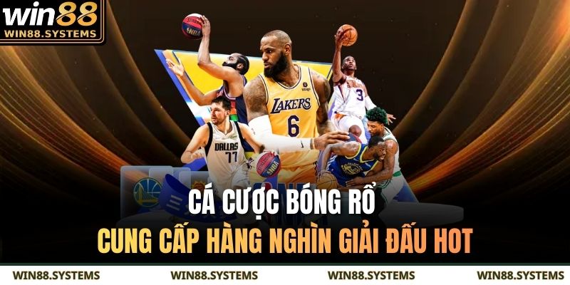 Cá cược bóng rổ cung cấp hàng nghìn giải đấu Hot